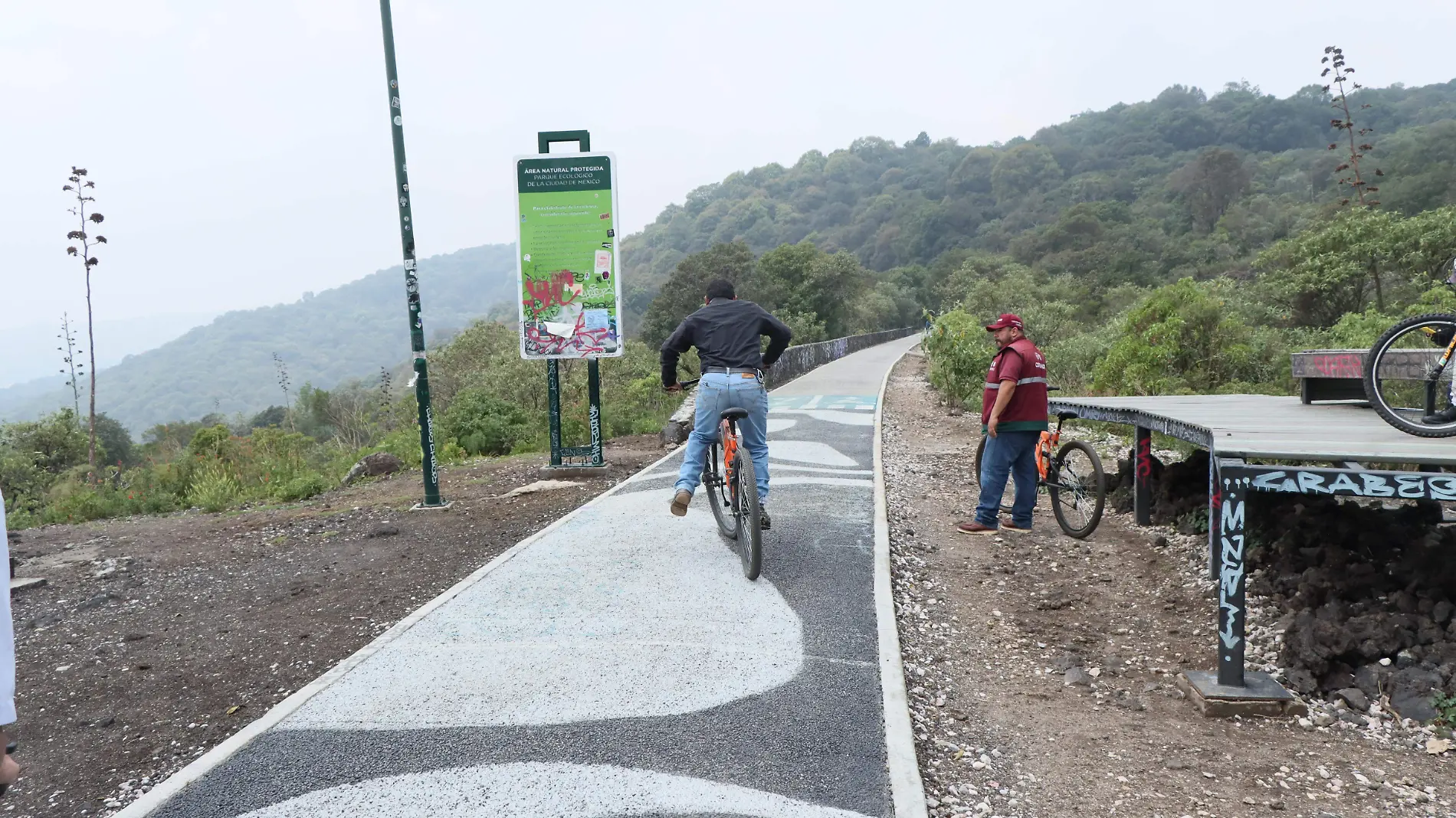 CICLOVIA TLALPAN-MORELOS. FOTO DANIEL GALEANA (3)